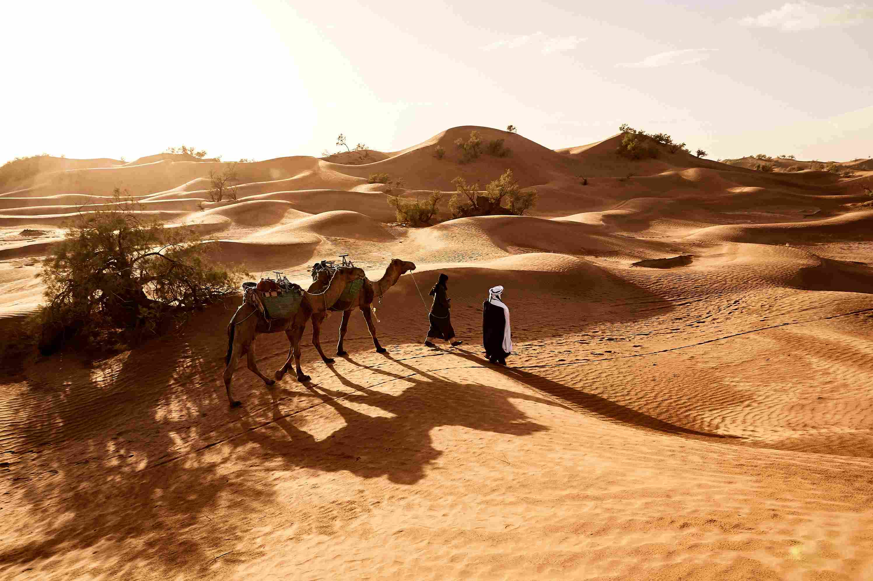 Sunset tour in Egypt