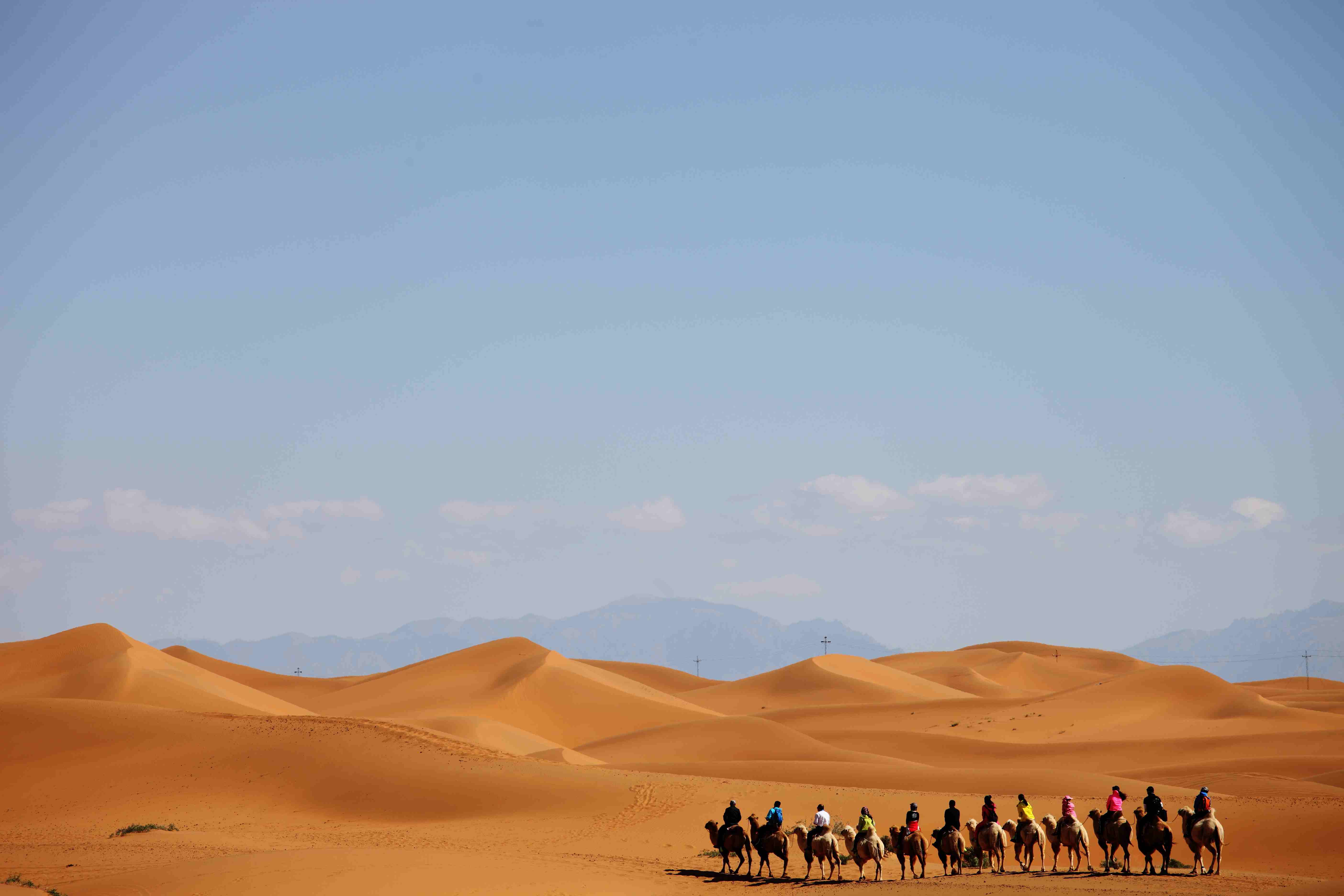 Freedom in the open desert